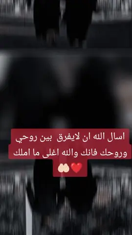 #❤❤ 