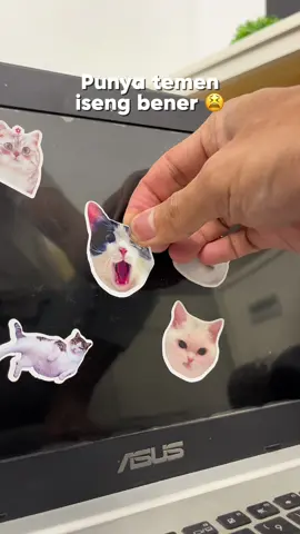 waktunya tempel tempel stiker meme kucing isi 50 pcs. 🤣🤣 #stickerkucing #memekucinglucu #stikerkucing #stikermemekucing #kucing #stikerlucu #stikerlaptop #stikerhelm #kucinglucu 