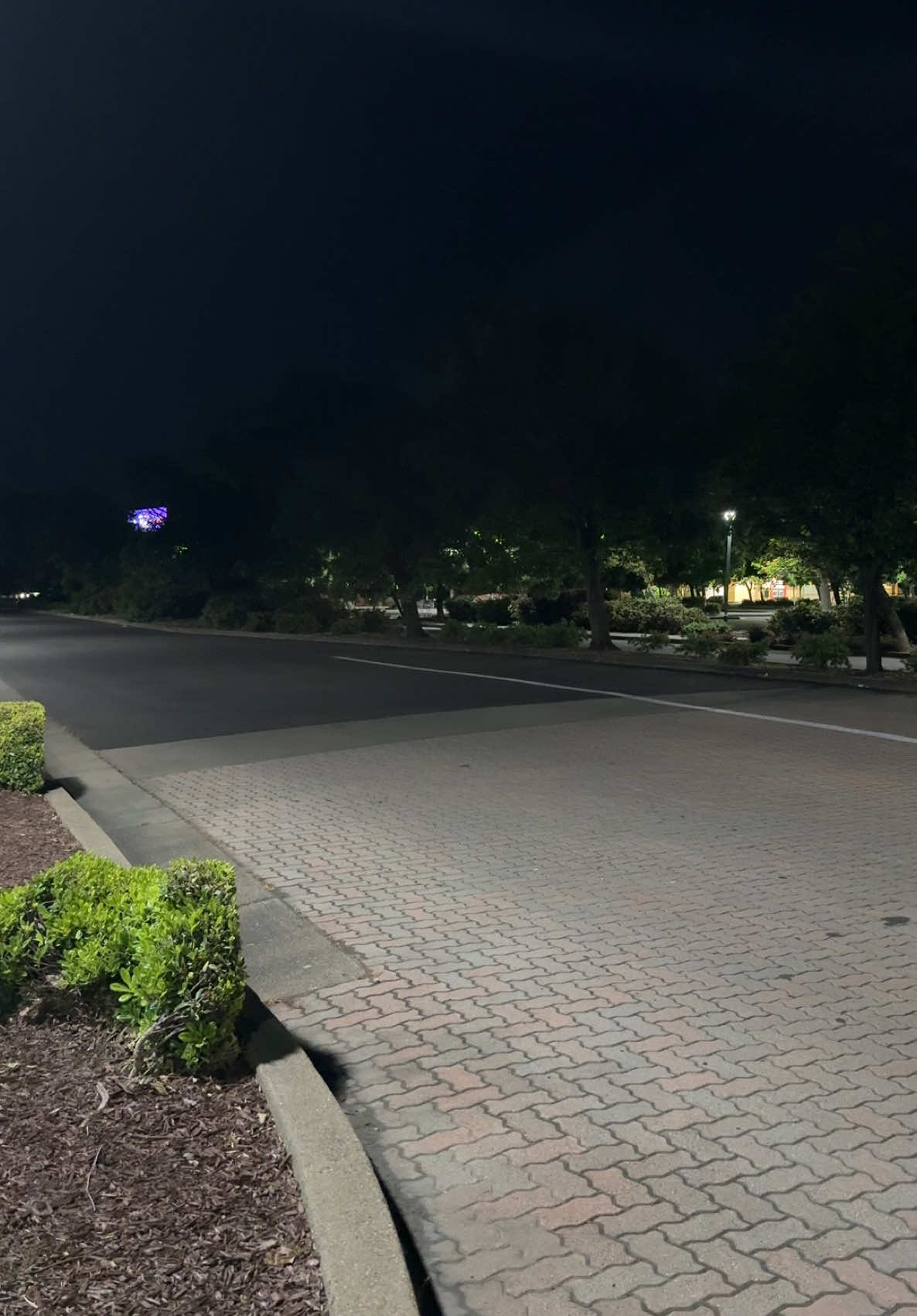 Hellcat Redeye simulator 🥷🐈‍⬛  • • • • #hellcat #srthellcat #hellcatchallenger #hellcatcharger #musclecar #srt #mopar #moparornocar #moparmilitia #moparperformance #dodgeofficial #thatsmydodge #moparmafia #hellcatwhine #demon170 #supercharged #moparmonday #carsofinstagram #carswithoutlimits #hellcataddicts #scatpack #trackhawk #trx #trending #fyp