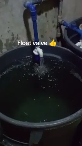 #creatorsearchinsights #doxon #floattank #floatvalve #waterlevelcontroller #tiktokviral #highlightseveryone 