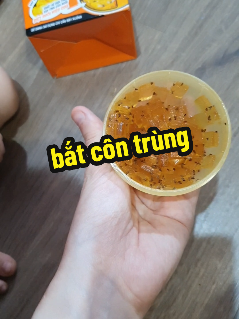 bắt dĩn ok lắm nha mn #lọbắtcôntrùng #lọbắtdĩn 