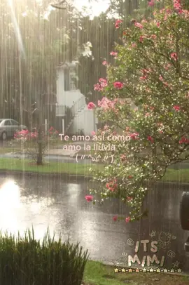 Vídeo para dedicar! 💗✨ #amolalluvia  #videoparadedicar #paratiiiiiiiiiiiiiiiiiiiiiiiiiiiiiii #edit 