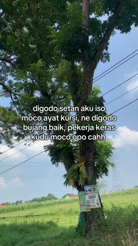 pesona bojone wong kihh😹😹#4u #katakata #jawapride #fypviralシ #xybca #foryou 