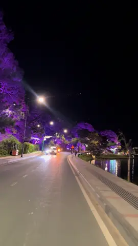 Đà Lạt hồ Xuân Hương về đêm#dalat #xuhuongtiktok2025 #thinhhanh #hotelhongphuongq #hoxuanhuong #dalat #