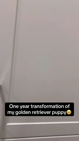 They grow up so fast😭❤️ #Pubity (Manoj boddu via ViralHog)