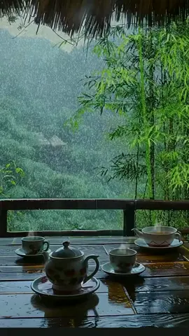 Tea time with rain sounds 🎶 #nature #natureza #natur #natural #green #forest #tea #teatime #greentea #healing #shooting #calming #therapy #asia #asian #culture #arts #rain #rainy #rainyday #happy #life #mood #feelings #video #videoviral #tiktokviral #viral_video #edit #explore #vibes #Vlog #travel #trend 