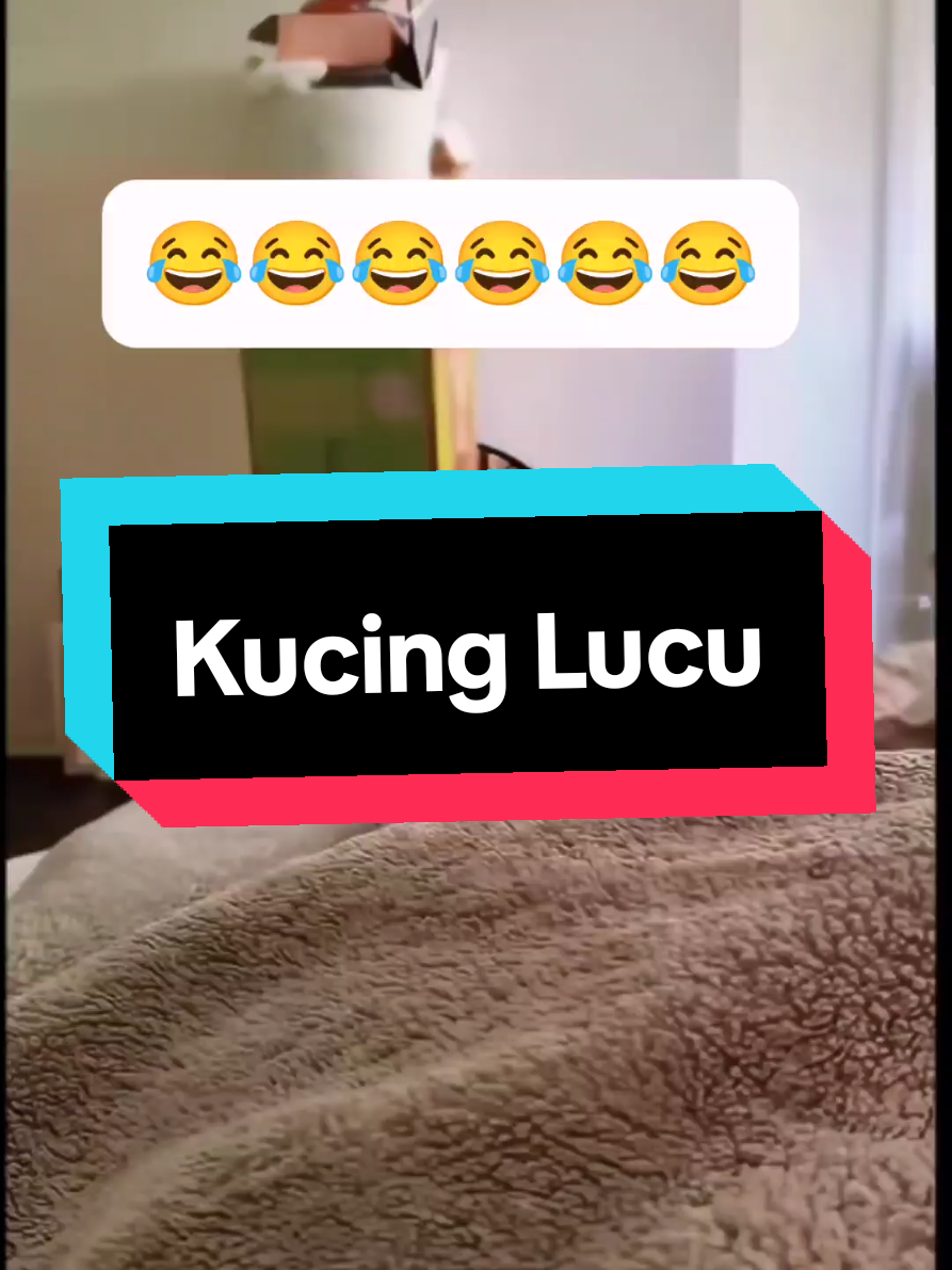 #CapCut #animalsfunnyvideos #funyy_videos #animalsvideos #hewanlucu #kucing #kucinglucu #cat #funnycat #animals #funny #lucu #ngakak 