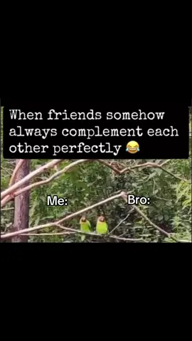 Bro always a witness to my stupidness #meme#funny#fyp#fypシ#fy#relatable#bro#homie