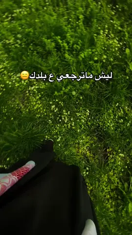 🥲🌚