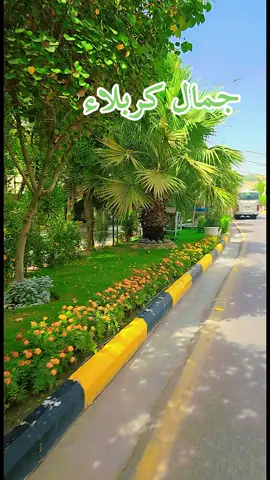 #جمال_كربلاء #كربلاء_العشق #كربلاء_المقدسه 
