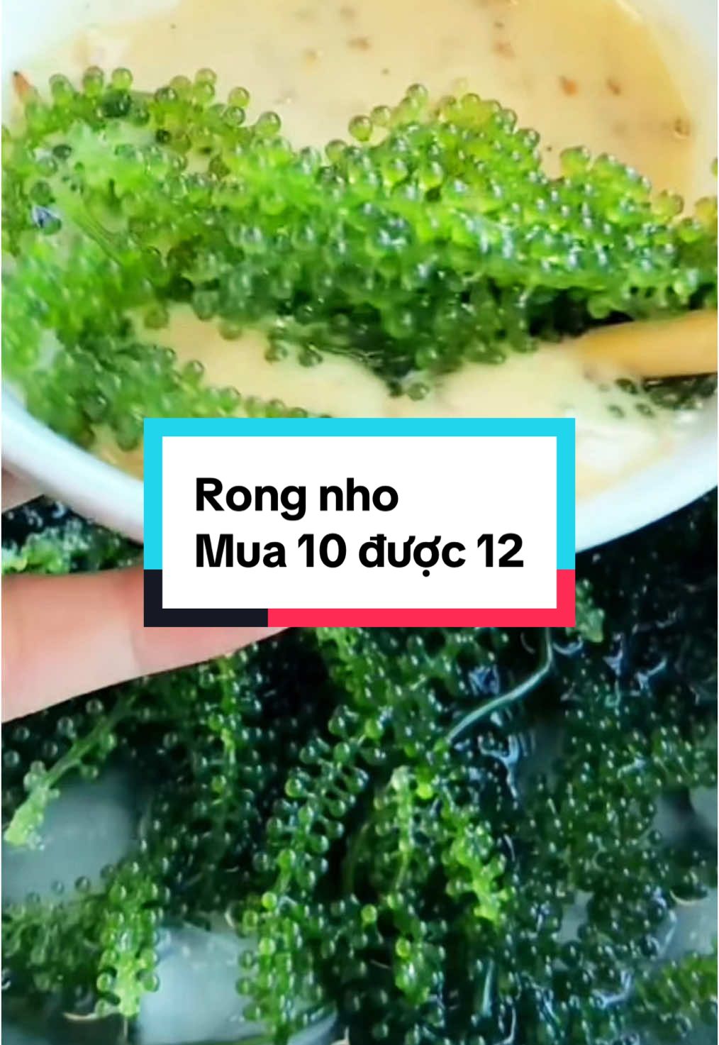 Rong nho tách nước, mua 10 được 12! #nguyenthanhshop1509 #LearnOnTikTok #rongnho #rongnhotachnuoc  @Nguyễn Thanh Shop 1509  @Nguyễn Thanh Shop 1509 