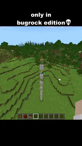 Minecraft bugrock moment #Minecraft #minecrafter #minecrafts #bugrock #bugrockmoment 