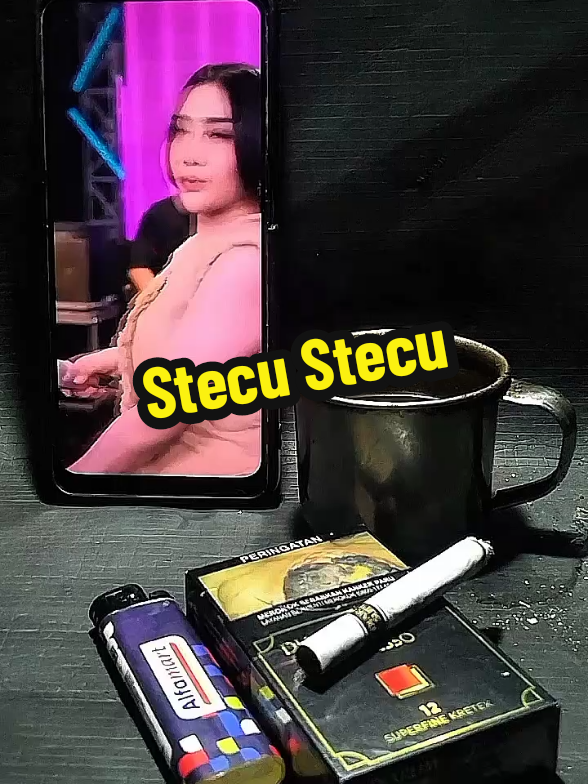 Stecu Stecu ~ Shinta Gisul #stecustecu #stecu #shintagisul #kopihitam #dangdutkoplo #dangdut #ngopi 