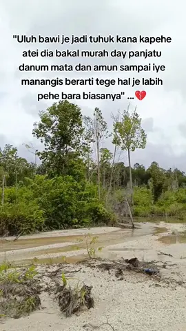 aaaaa pehee 🥲 #dayakngajukalteng 