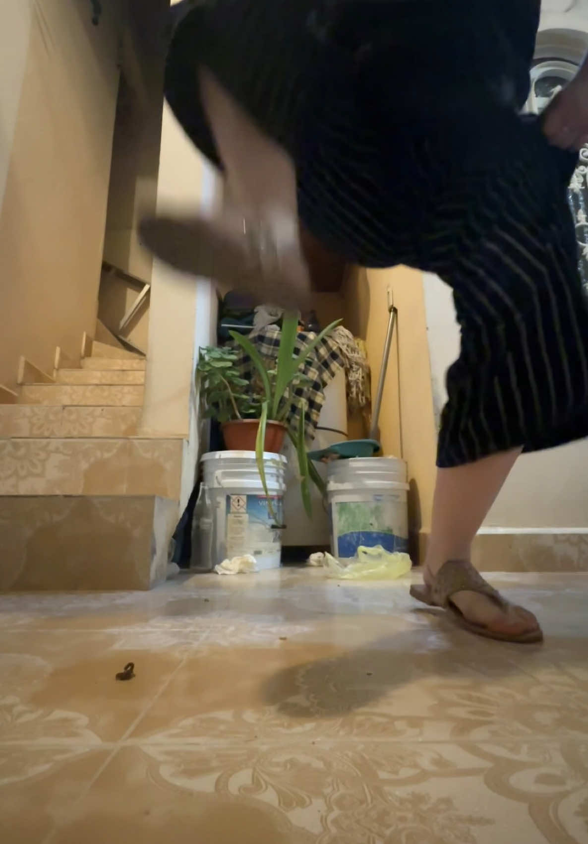 scorpion couldn’t stand a chance w that stomp omg 😭 @Coldest Jasmine 