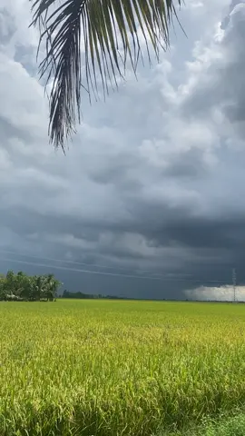 Trời chuyển mưa rồi má ơi #67angiang #mưa #tamtrang #stt_buồn_tâm_trạng #tamtrangbuon #stt #story #fyp #trend #trending #viral #xuhuong #xuhuongtiktok #tiktok #vietnam 