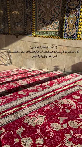 #العتبة_الحسينية_المقدسة #الامام_الحسين_عليه_سلام #اللهم_عجل_لوليك_الفرج #اللهم_صلي_على_نبينا_محمد #اهل_البيت_عليهم_سلام #الامام_العباس_عليه_السلام #اللهم_صلي_على_نبينا_محمد  #ام_البنين_عليها_السلام  #اللهم_عجل_لوليك_الفرج  #اهل_البيت_عليهم_سلام  #الامام_العباس_عليه_السلام  #ياصاحب_الزمان #السلام_عليك_يا_ابا_الفضل_العباس_ع  #السلام_على_بقية_الله_في_أرضه  #العجل_يامولاي_يبن_الحسن  #ادرکنا_يا_بقية_الله  #جابر_الكاظمي_باسم_الكربلائي  #اديب_الطف_جابر_الكاظمي  #باسم_الكربلائي_سفير_الانشاد_الحسيني  #باسم_الكربلائي_سفير_الدمعه_الزينبيه  #باسم_الكربلائي_سلطان_المنبر_الحسيني  #باسم_الكربلائي_حنجرة_العصر  #باسم_الكربلائي_خادم_لن_يتكرر  #باسم_الكربلائي_رادود_ما_له_مثيل  #الابداع_الباسمي_فاق_الخيال  #باسم_الكربلائي_المأتم_ثقافتنا  #باسم_الكربلائي_عشق_الحسين  #باسمنا_واحد_وليس_له_عدد  #باسمنا_الغالي_بأمانتك_يا_علي 