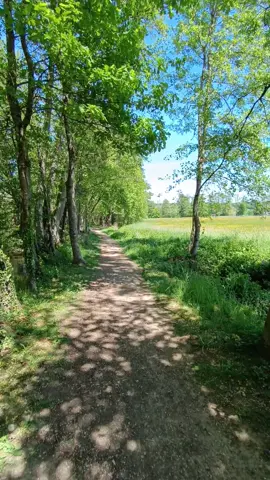 #goodvibes💕 #developpementpersonnel #motivation #soutien #bonjour 