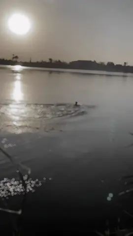 #CapCut سباح مو بيدي 🔥🫡#سباحه🏊‍♂️ #شط_الكوفة 