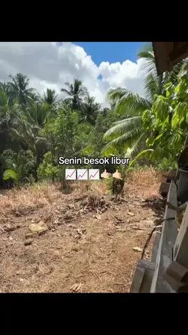 📈#senin #libur #masukberanda #4u 