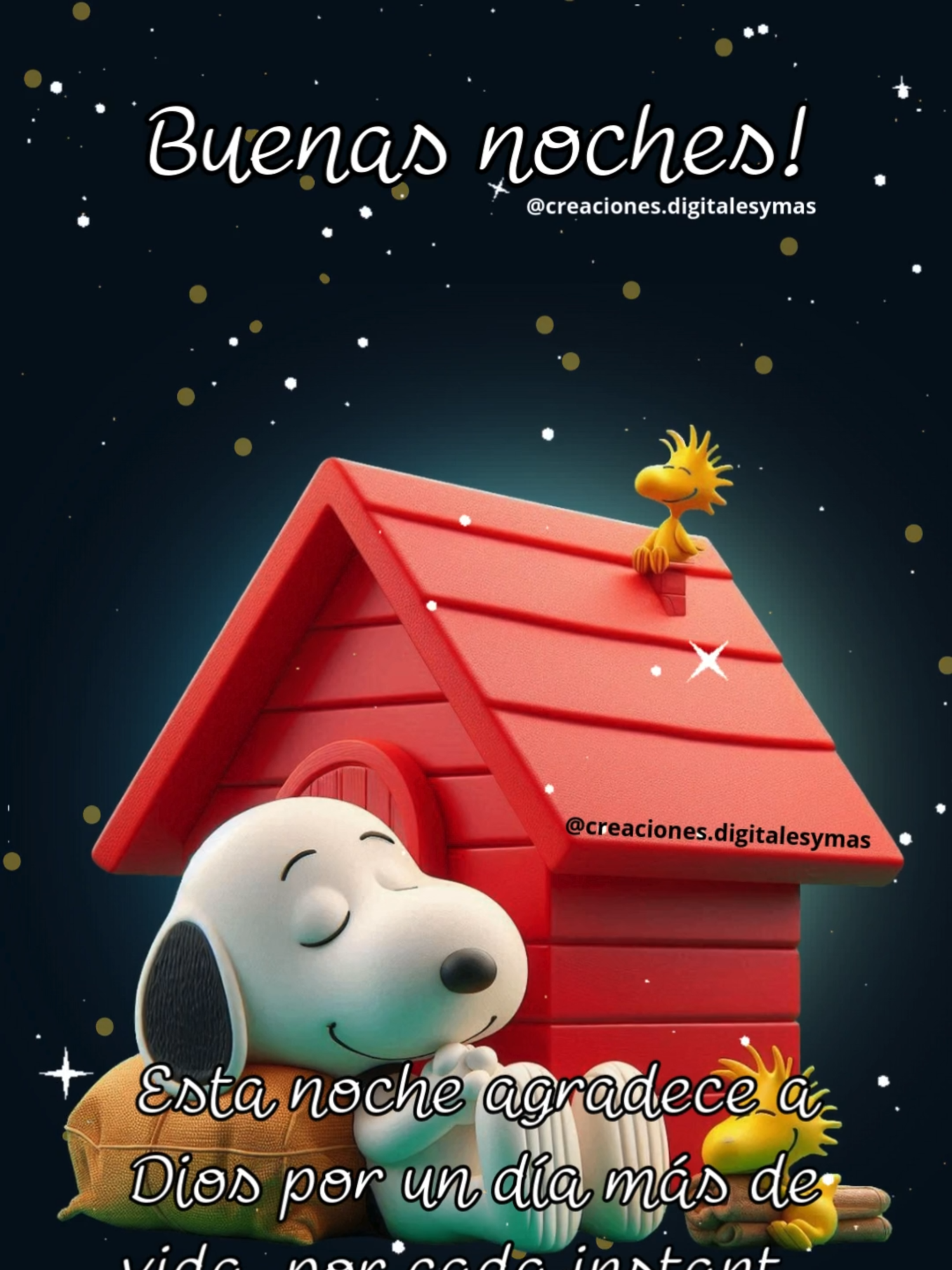 Buenas noches #buenasnoches #dulcessueños #feliznoche #snoopy #adachajon.gt