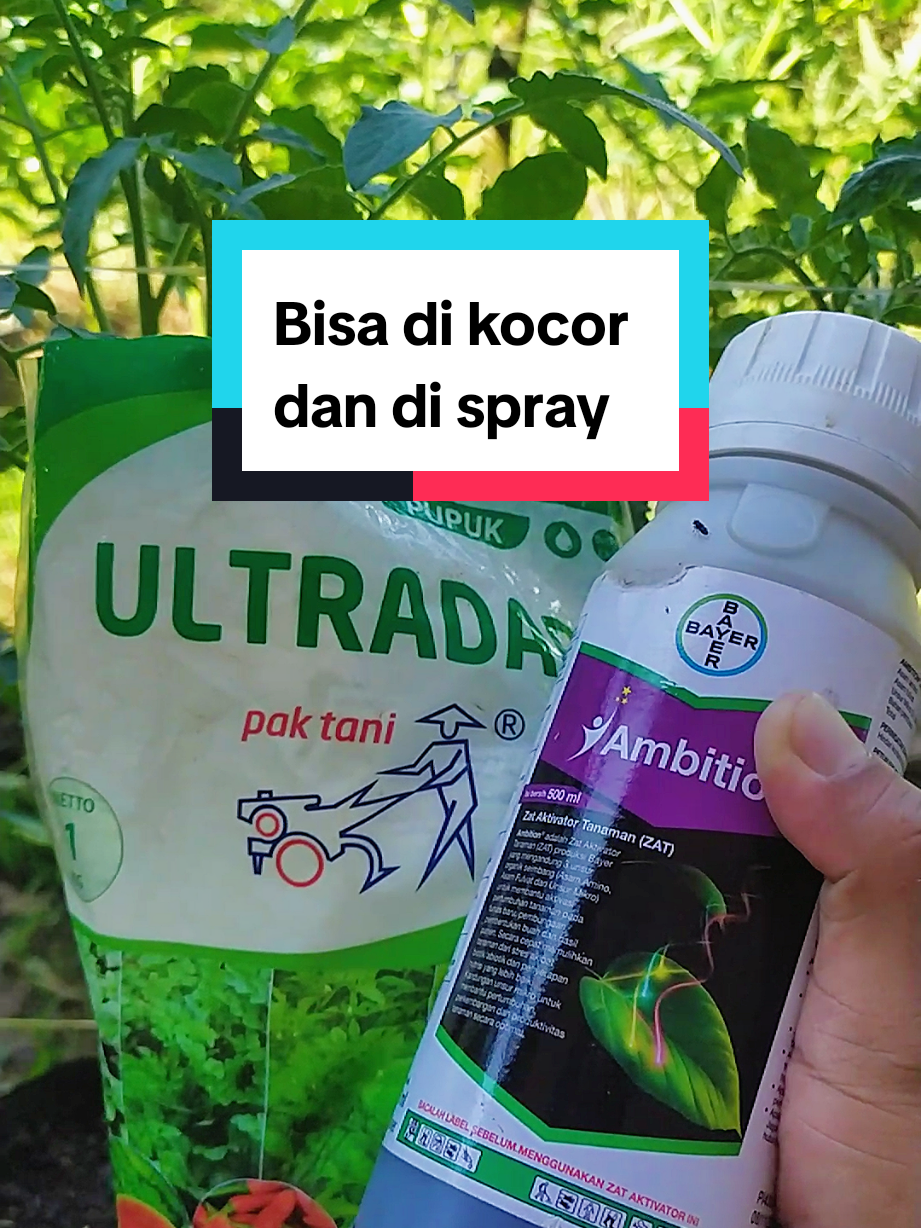 Membalas @liesemchess Bisa di kocor dan di spray, link produk Ambition 👉@Mantri Tani  Ultradap ➡️@Mantri Tani  #ambition #ultradap ##mantritani 