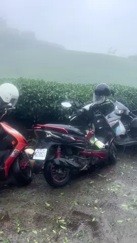 #CapCut #xuhuong , mưa ngừng rơi cho với nổi buồn 