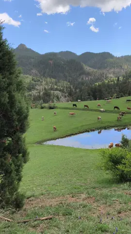 #erzurumluyuzbiz #keşfetedüş #tik #tik_tok 