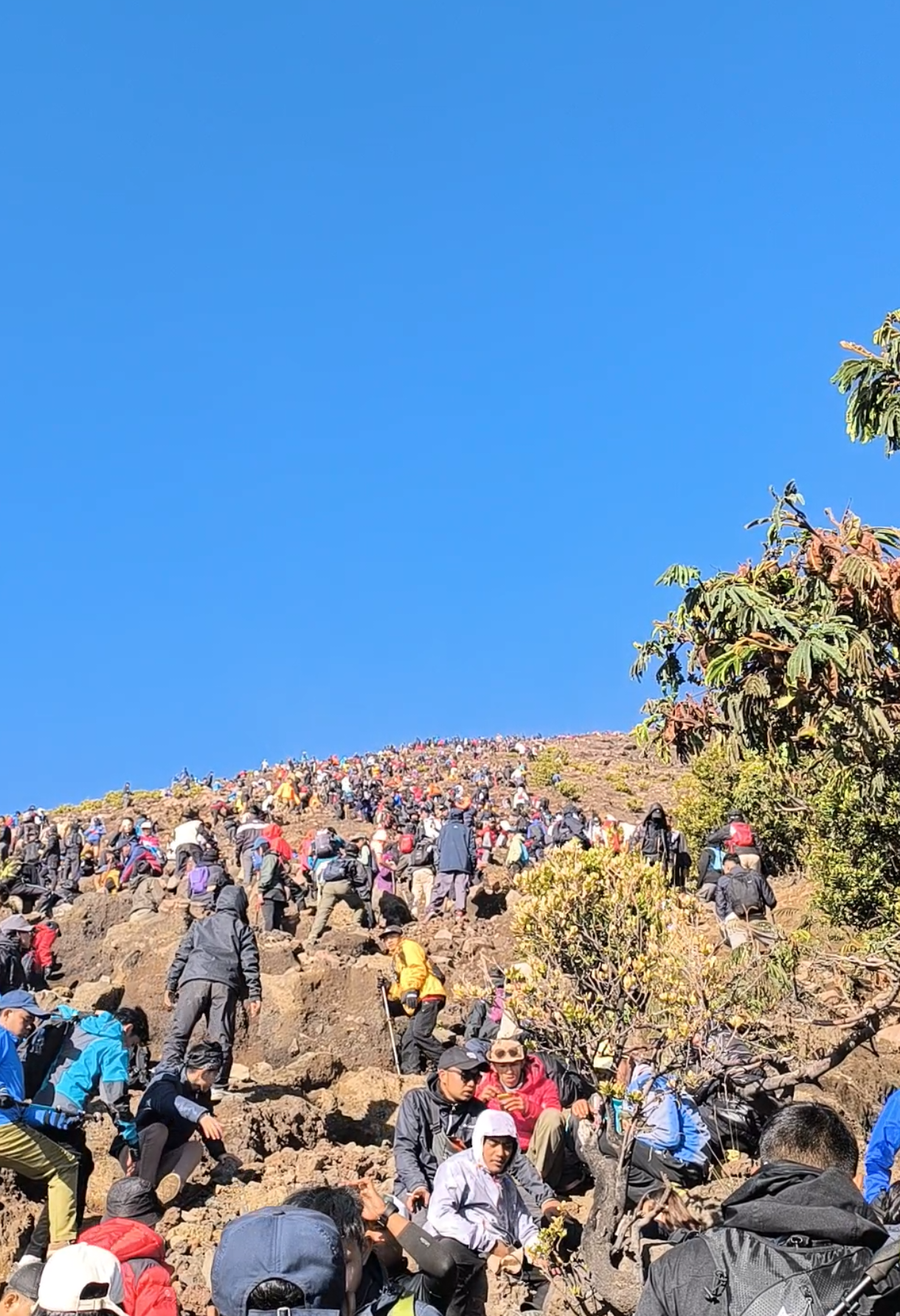 dihimbau mendaki via tiktok dulu🗿 #slametmountain #slamet3428mdpl #pendakifomo 