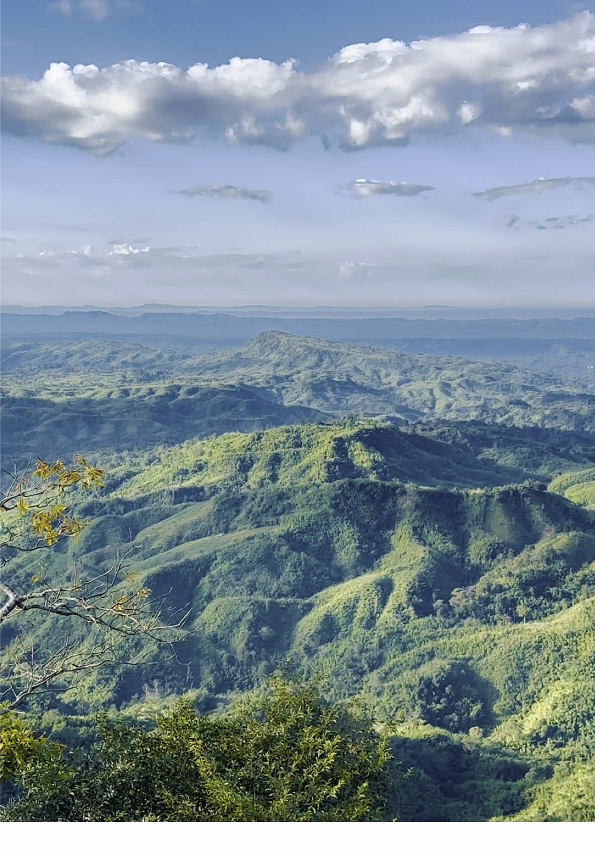 This isn’t switzerland, this is our bangladesh✨ 📍Konglak Pahar, Sajek vailly