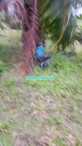 latihan fisik