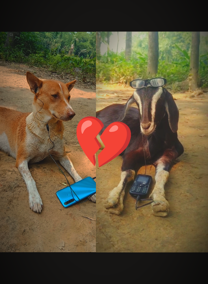 #ভুলে #যদি সুখ পাও #🤔 #🤣🤣🤣 #❤️ #foryou #foryoupage #fyp #trending #tiktok #viral #funnyvideo #viralvideo #otgrezaul @For You @TikTok Bangladesh @Voicer_Amdadul_10🥺 