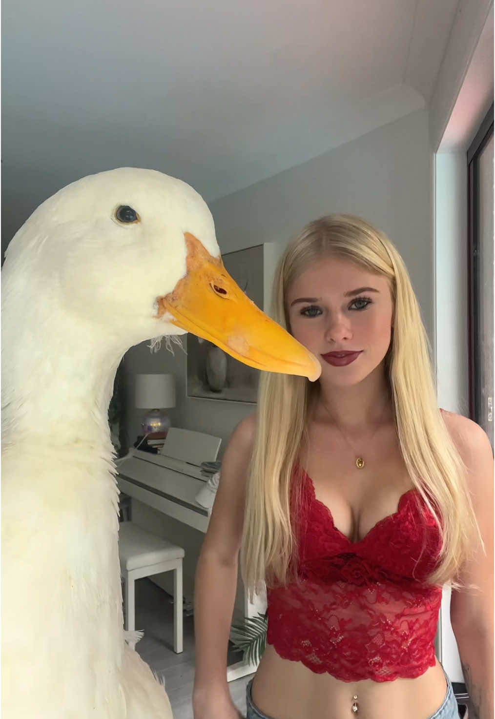 ducky #duck 