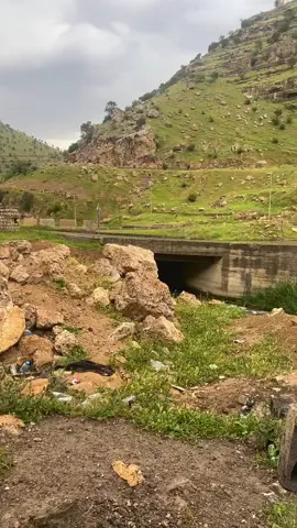 #اجواء #طبيعة #كوردستان🇭🇺 #ستورات_انستا #طلعاتي_وتصويري🦋 #♥️🌟🦋 #قهوتي_farah_al_hyaat🤎 #لايك__explore___ #كوردستان_العراق_اربيل_دهوك_زاخۆ #شعب_الصيني_ماله_حل😂😂 