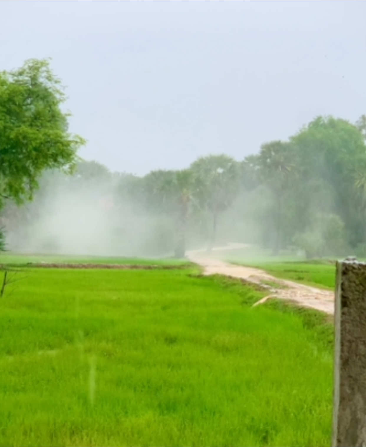 ចិត្តអើយ 😢❤️‍🩹 #ទេសភាពស្រុកស្រែ🌄🏜️🌱🌼🌾🐟 #SokhornMusic #ជួយcopyllinkម្នាក់១ផងណា #ជួយចុចfollowនិងអោយបេះដូងផង #តាកែវផ្ទះខ្ញុំ 
