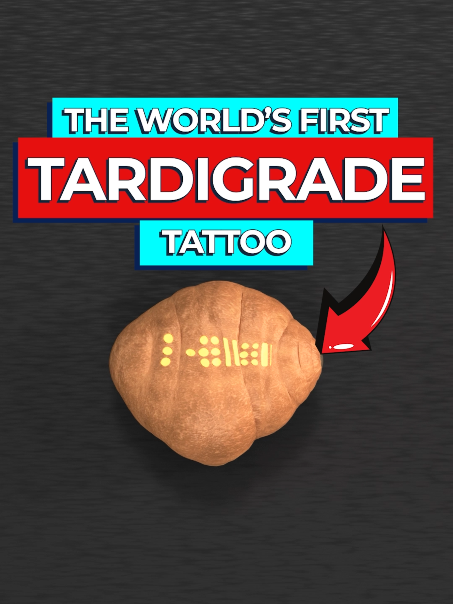 Scientists Have Just Tattoo'd Tardigrades The toughest creatures on Earth are now sporting the world's tiniest tattoos. In a groundbreaking nanotech advancement, scientists used Ice Lithography to etch microscopic designs onto the internet’s favorite micro-animal. Paper: https://pubs.acs.org/doi/10.1021/acs.nanolett.5c00378   #tardigradesinspace #nanotechnology  #tattoo #fyp #foryoupage