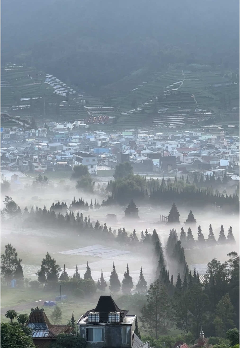 Real negeri di awan #dieng #negeridiatasawan #katakata #wisatadieng #goldensunrise #pagi credit video by @Centraldieng 
