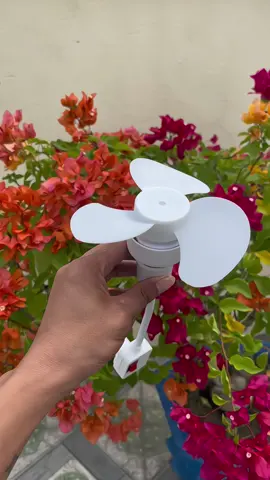 Quạt 3 Cánh E27 Nhỏ Gọn Hiện Đại ,Phù Hợp Cho Văn Phòng ,Kí Túc Xá #quat #quatmini #quat3canh #dogiadungtienich #xuhuong 