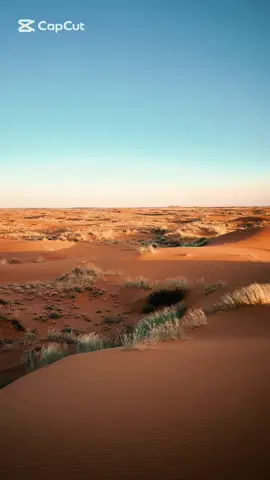 #هشتاق_بحر_اكسسسبلوور 