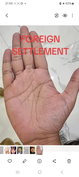 foreign settlement#palmistry #palmreader #