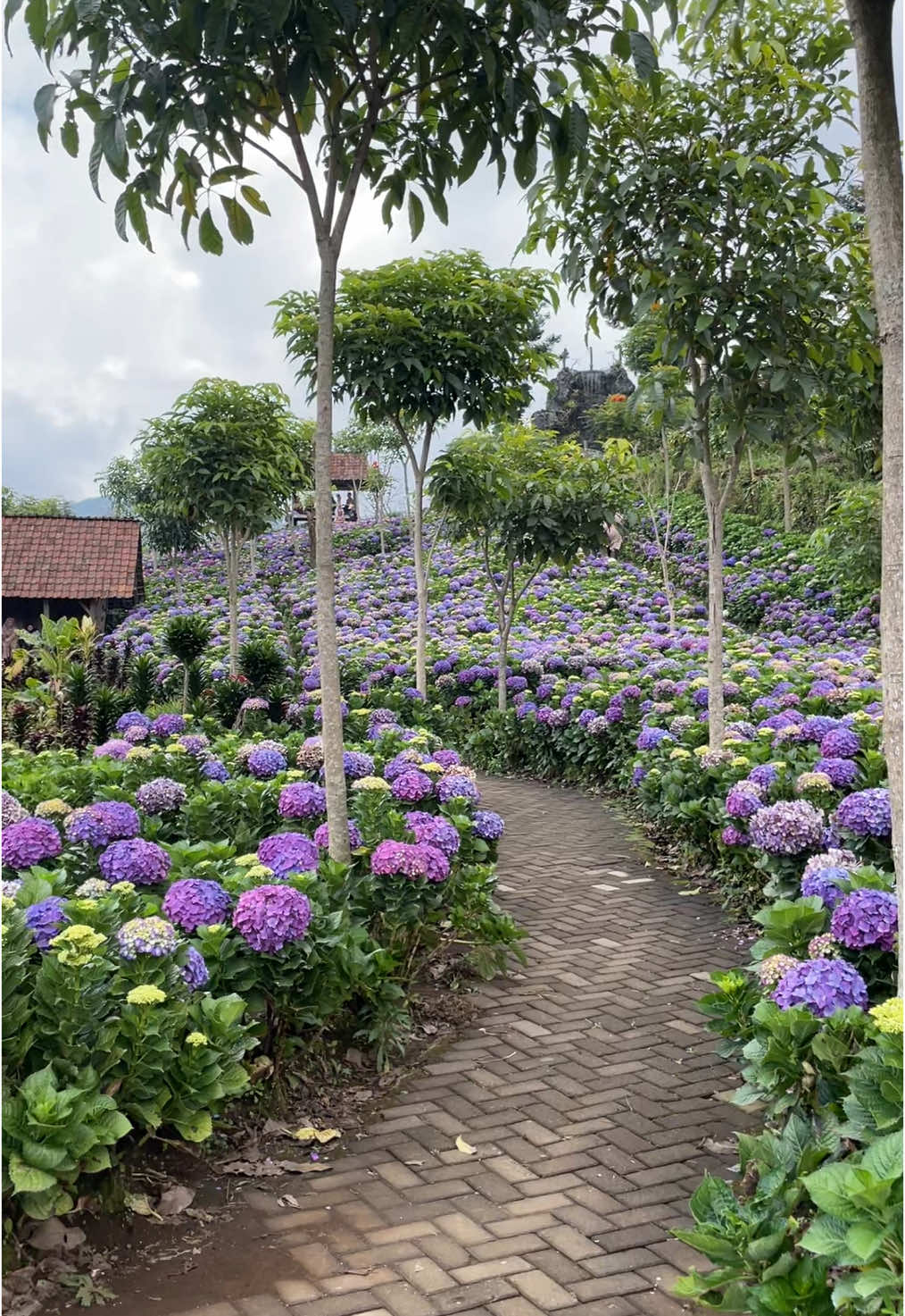 📍Wisata Dusun Kuliner - Batu Malang #dusunkuliner #wisatadusunkuliner @wisatadusunkuliner 