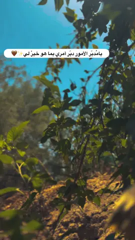 #جزء 142 |#تصويري_احترافي_الاجواء👌🏻🕊😴 #لايك_متابعه_اكسبلور_لو_عجبكم #عباراتكم_الفخمه📿📌 
