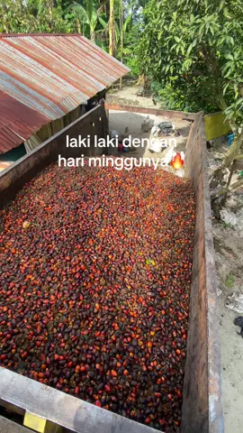 #fyp #masukberanda 