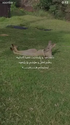 #لە جەویشم مەدە🤣