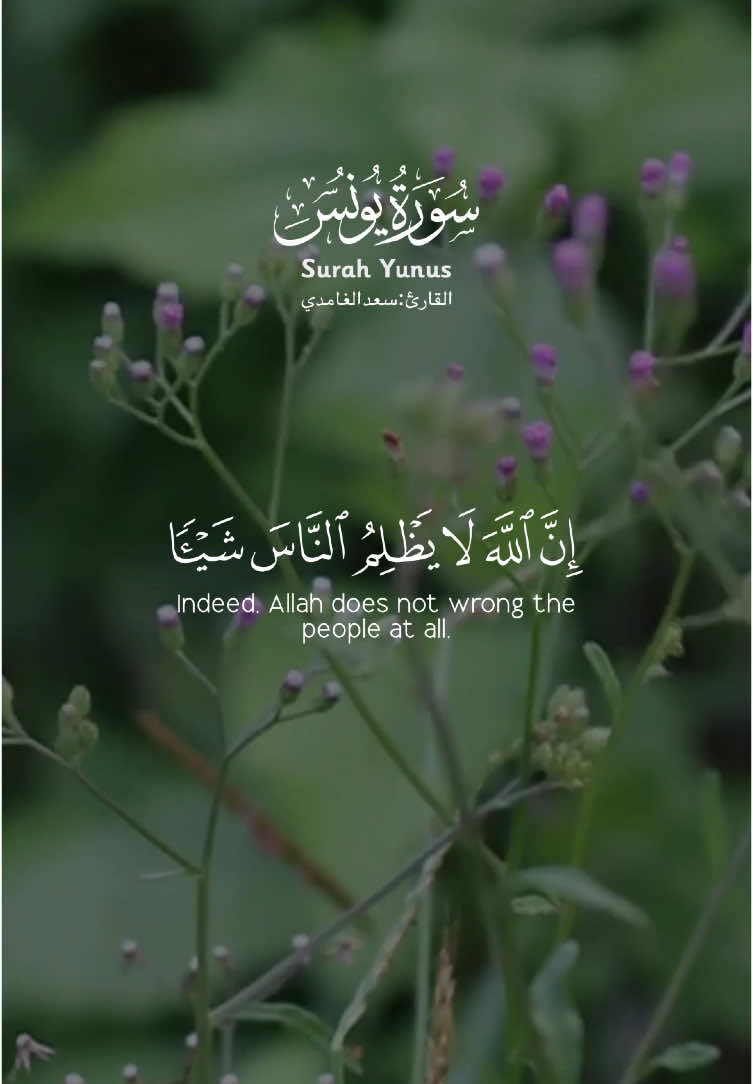 ﴿ إن الله لا يظلم الناس شيئا ولكن الناس أنفسهم يظلمون ﴾ [ يونس: 44] Indeed, Allah does not wrong the people at all, but it is the people who are wronging themselves. سورة يونس الآية ٤٤ Surah Yunus Ayat 44 القارئ : سعد الغامدي #سعد_الغامدي #سورة_يونس #يونس #قران #quran #قران_كريم #قرآن #القران #القران_الكريم #القرآن #القرآن_الكريم #تلاوة #تلاوات #الحرم_المكي #مكة_المكرمة #تلاوة_خاشعة #مكة #السعودية #usa #russia #shorts #تلاوات_الحرم_المكي #ukraine #timelapse #snow #uk #france #egypt #italy #الخليج #مصر #سوريا #فلسطين #غزة #gaza 