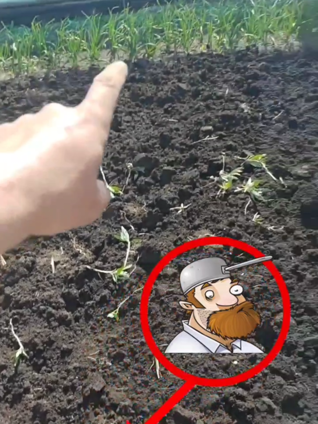 #viralvideos #fyp #funny #pvz 