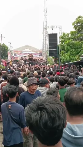 😵‍💫 #srijoyoputrooriginal#L-shaaudio#nganjuk#singobarong#bajang#nganjuk24jam#kediri24jam#jaranantiktok#fypdonggggggg#masukberanda#kaumannganjuk#warujayeng 