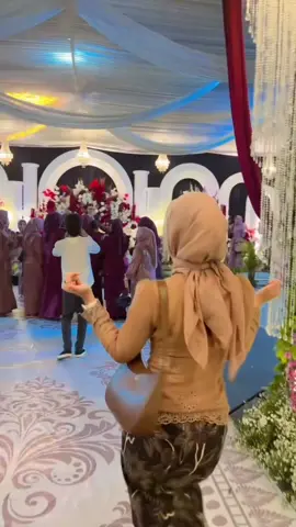 Stecu in dulu