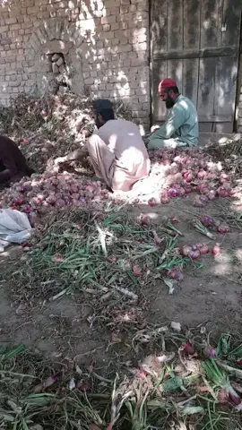 @mufte munir shakir @Sher Afzal khan Marwat @Shahid Rehman #viral  Khan Awan  fayaz tamako ghanm pale video come