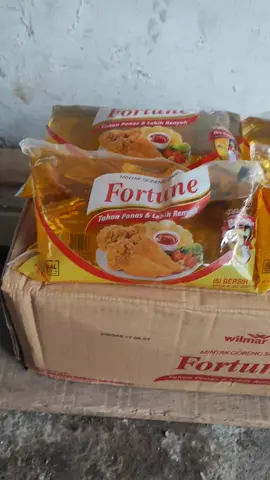 FORTUNE bantal 1 liter